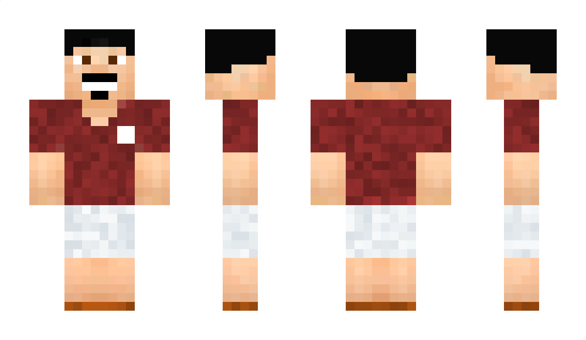 TaxV1 Minecraft Skin