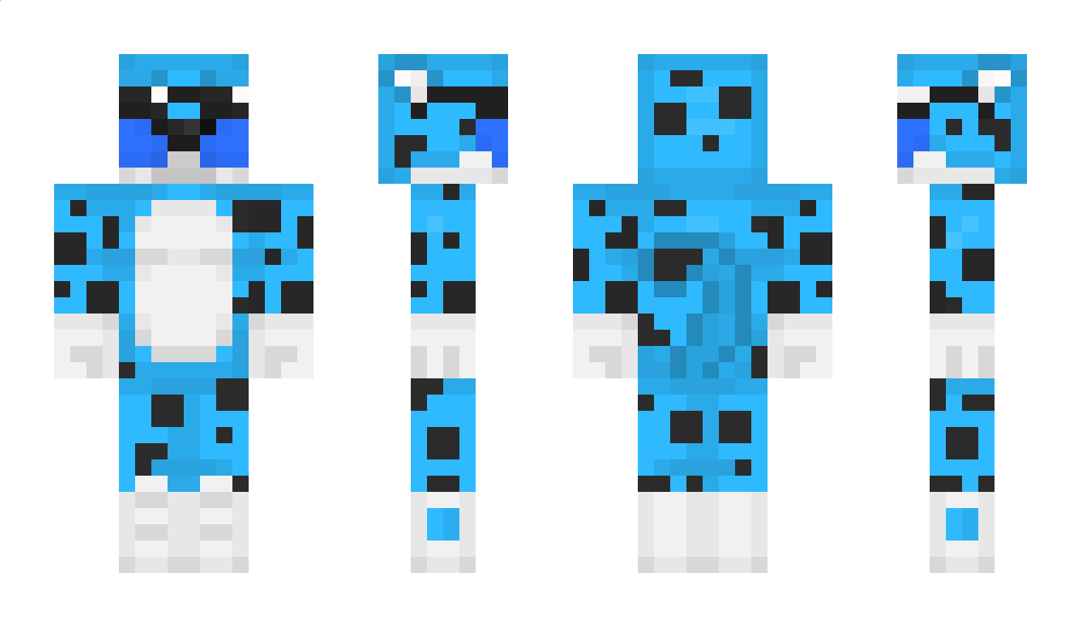 Sliwa_nike_pro Minecraft Skin