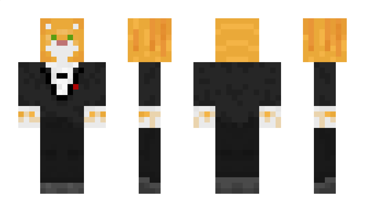 Felizx_ Minecraft Skin