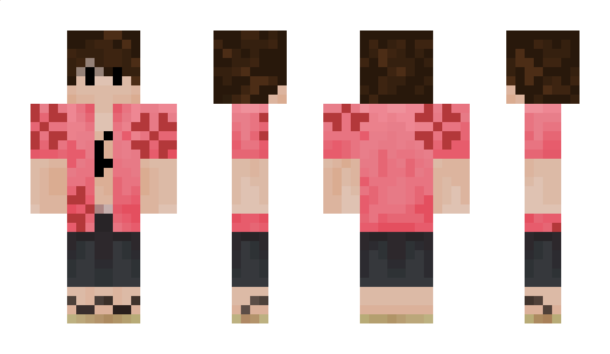 invro Minecraft Skin