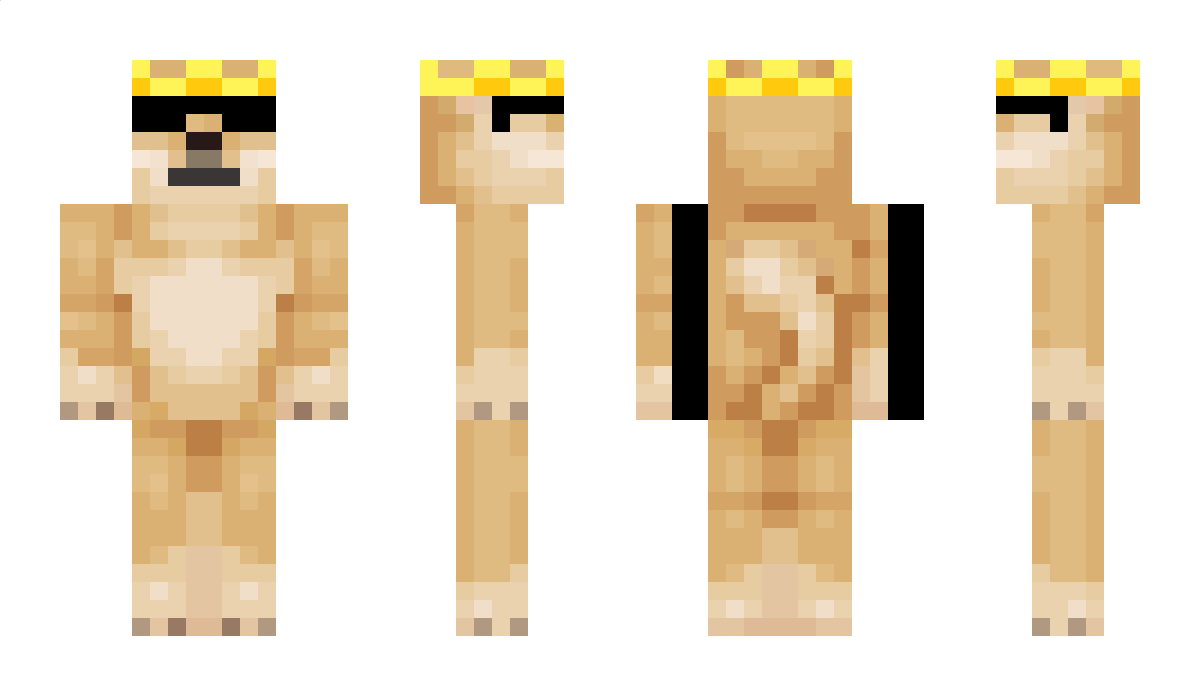 SShenyx Minecraft Skin