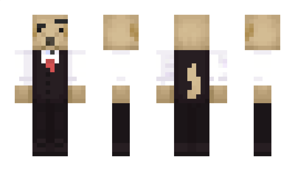 donkeso Minecraft Skin