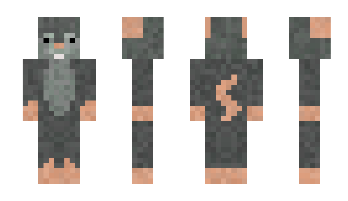 EenyMouse Minecraft Skin