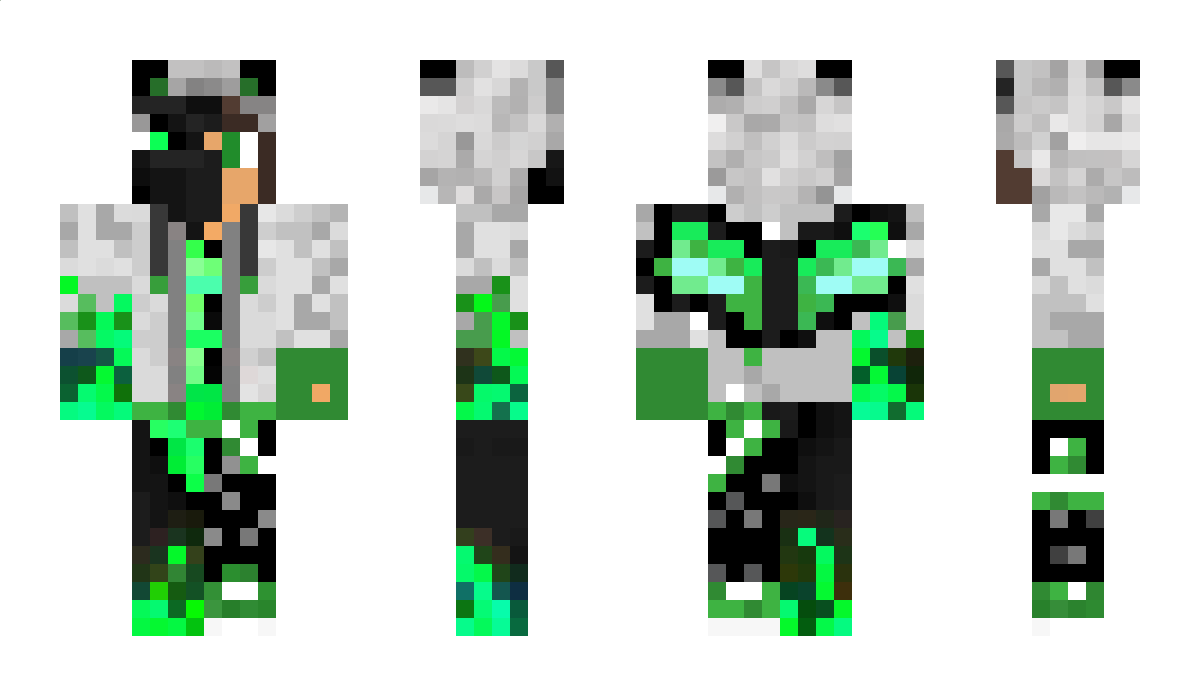 blockmaster__45 Minecraft Skin