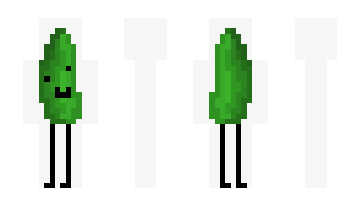 Tomistsar_levrai Minecraft Skin