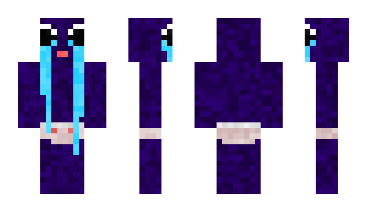 Bots Minecraft Skin