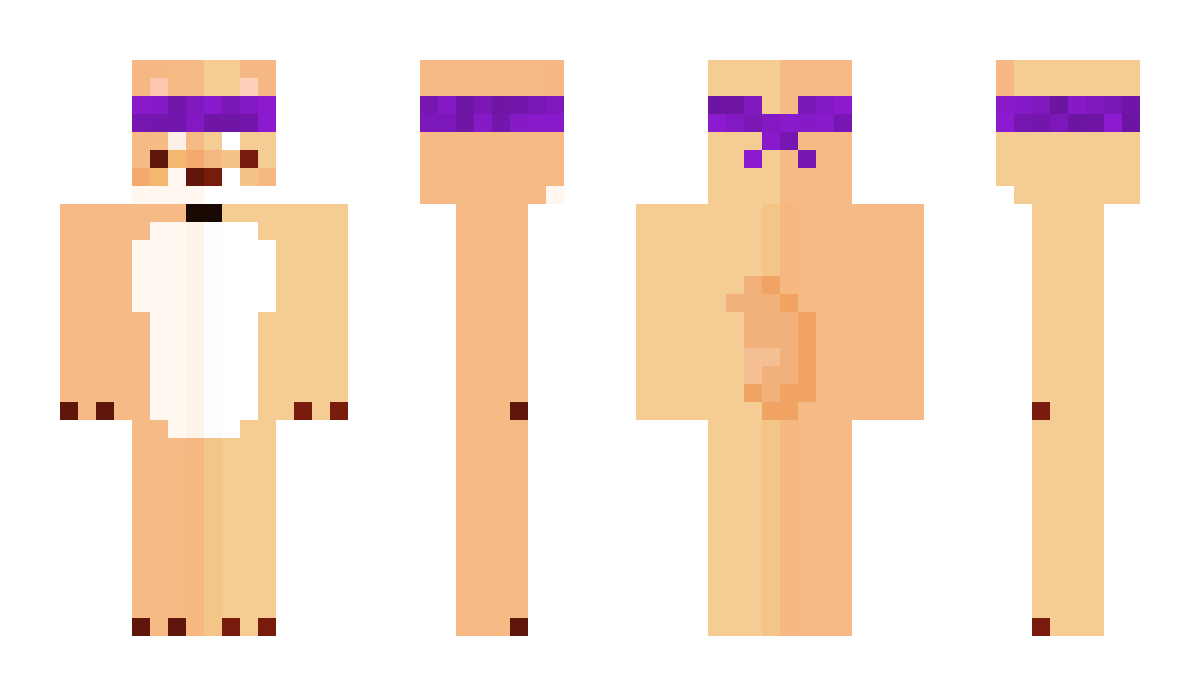 ShibaStuff Minecraft Skin