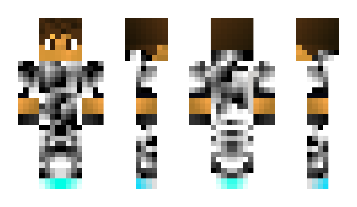 LowPro Minecraft Skin