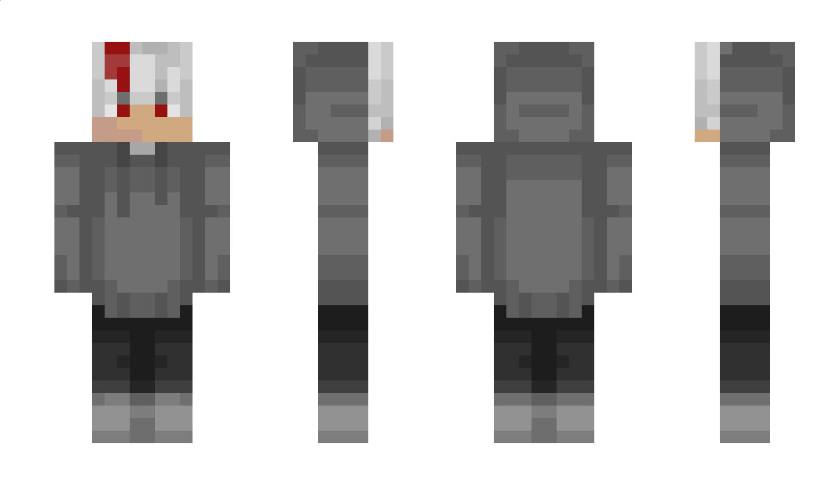 _x_Stray_x_ Minecraft Skin