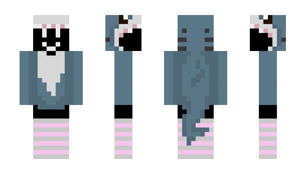 narhoni Minecraft Skin