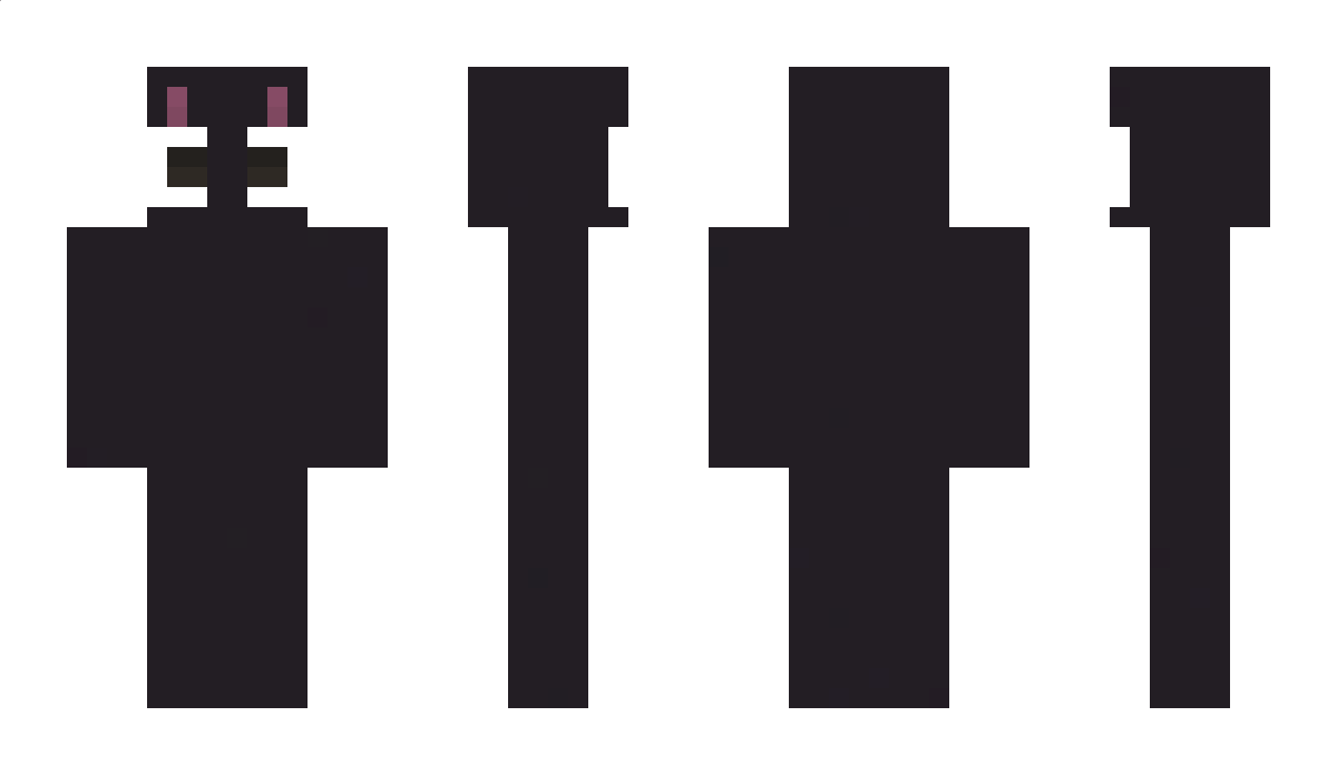 TimVomJupiter Minecraft Skin