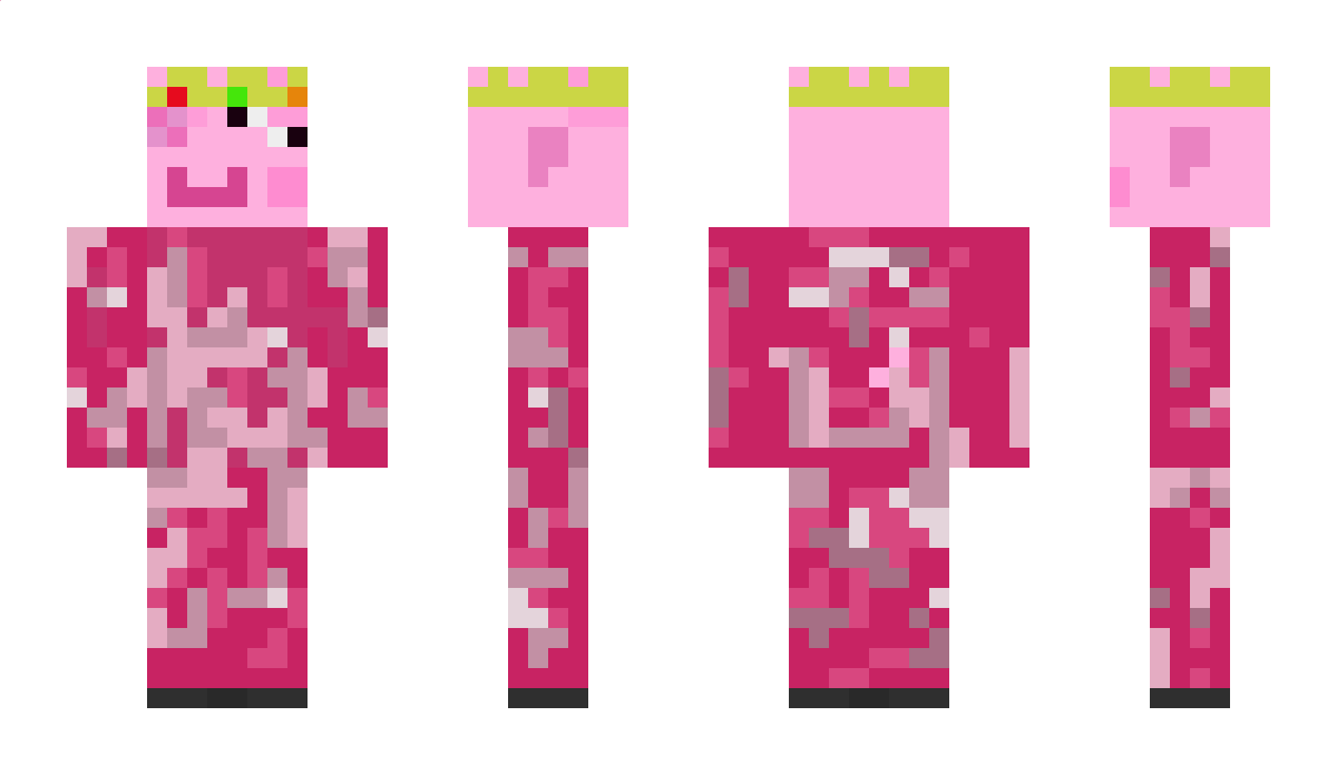 swinskawolowina Minecraft Skin