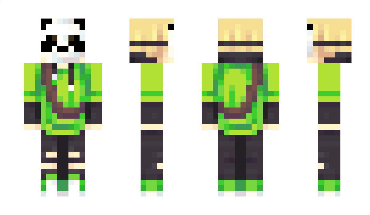 JustDomi2008 Minecraft Skin