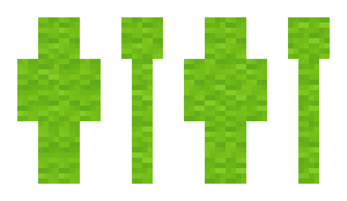 Lime_Wool Minecraft Skin