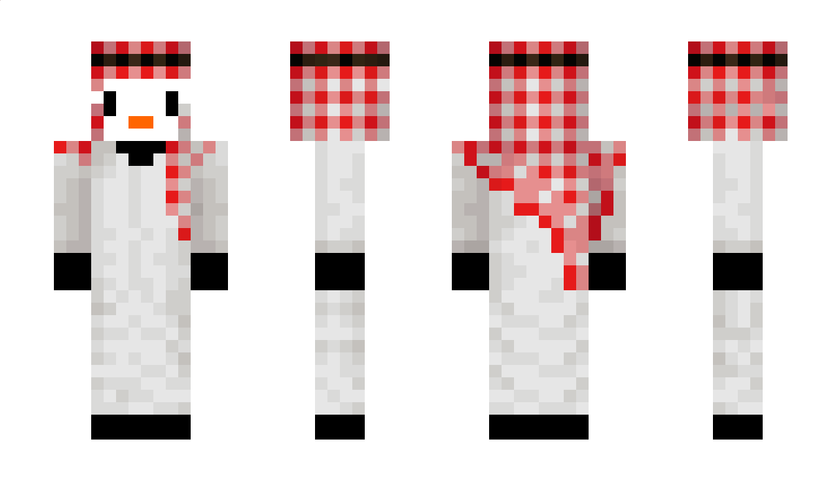 Penguin_ProYT Minecraft Skin