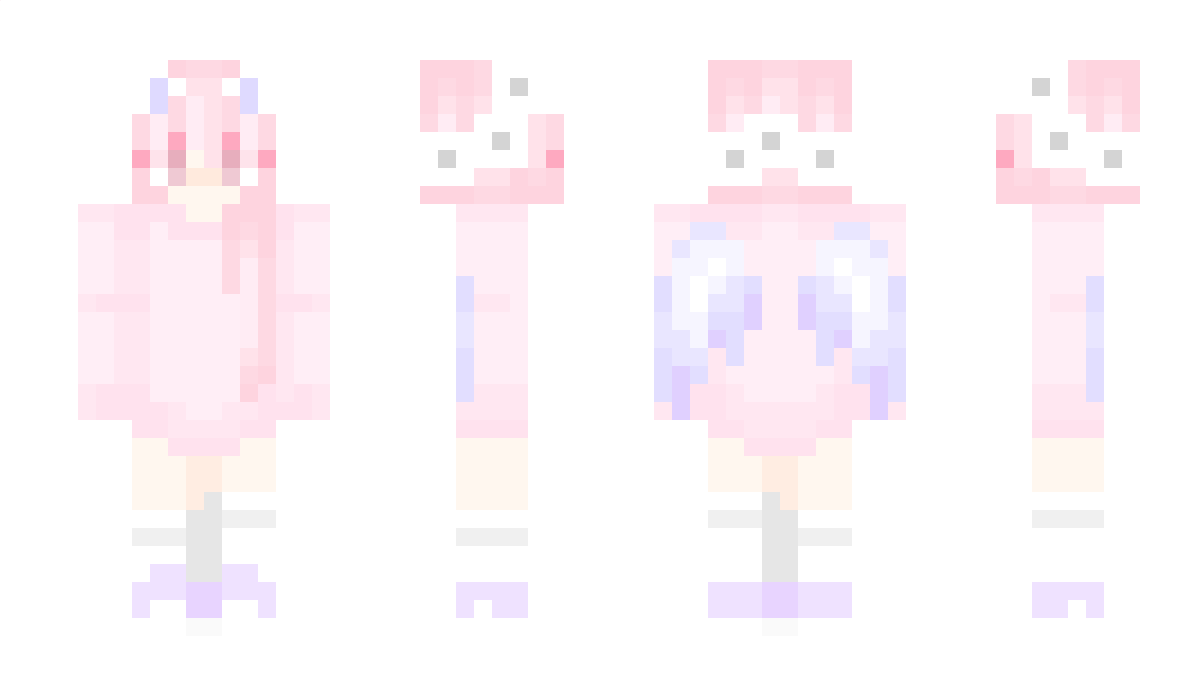 4net Minecraft Skin