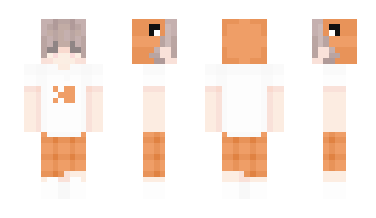 21x Minecraft Skin