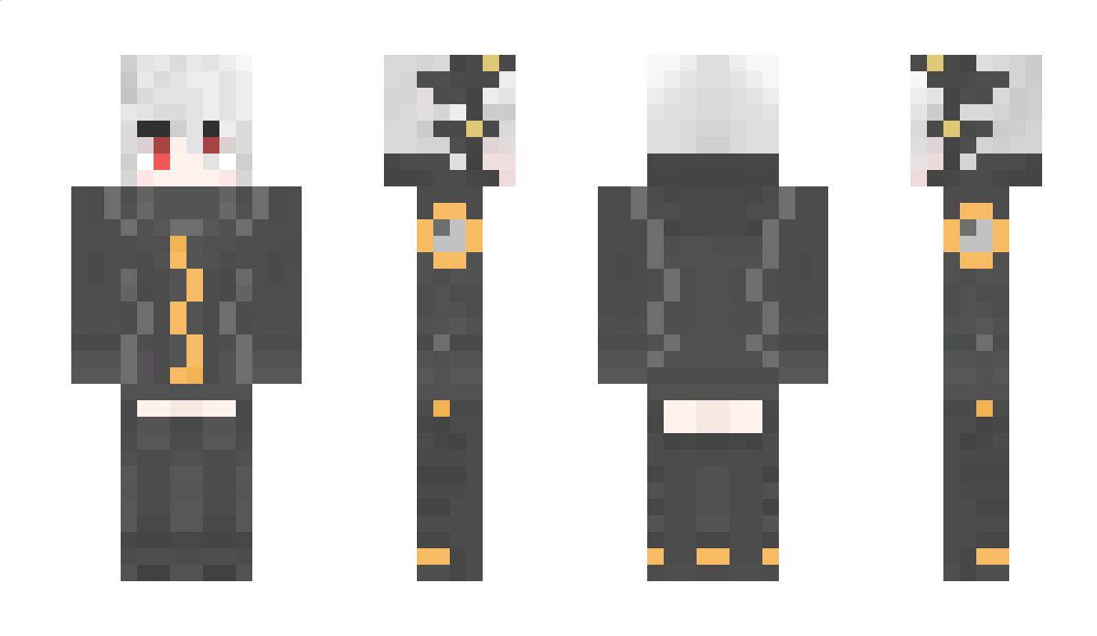 Type_301 Minecraft Skin