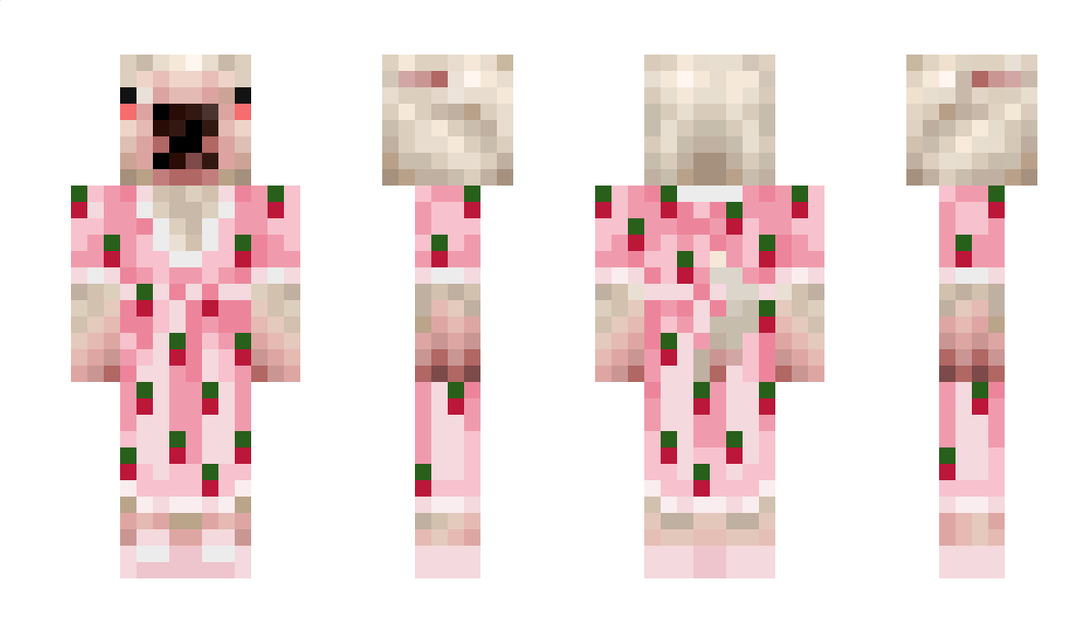 DonutDinosaur Minecraft Skin