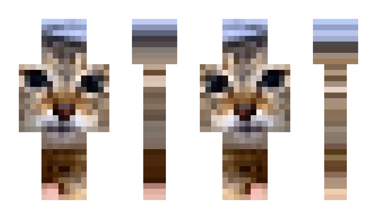 dacixn Minecraft Skin