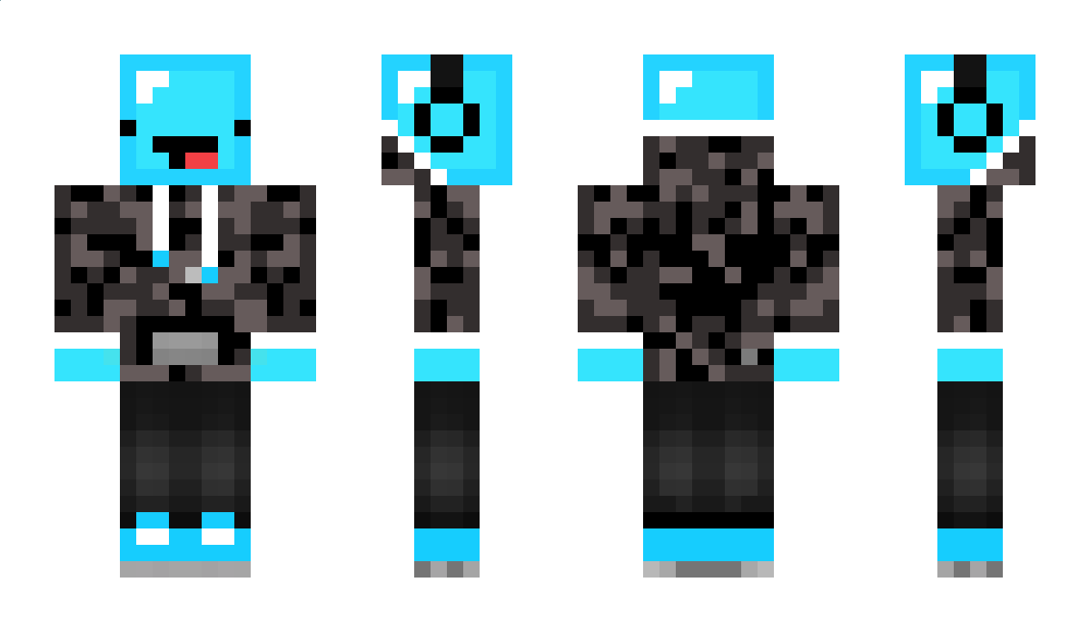 Placek Minecraft Skin