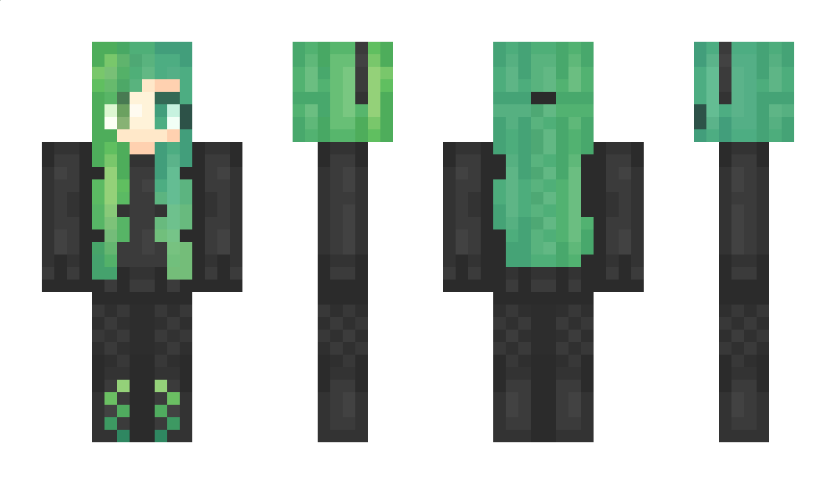 Vallonia Minecraft Skin