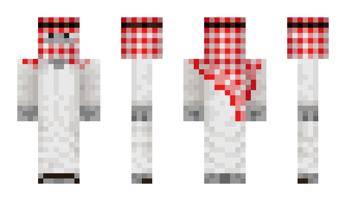 _Bloy_ Minecraft Skin