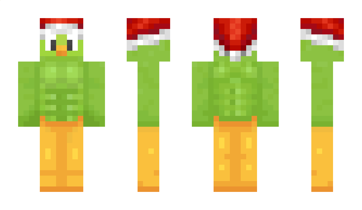 DuolingoBR Minecraft Skin