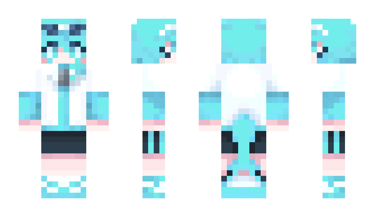 sjvsh3vt Minecraft Skin