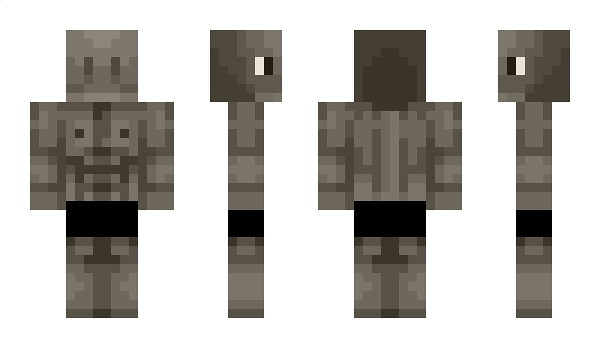 FunnyTurtle4 Minecraft Skin