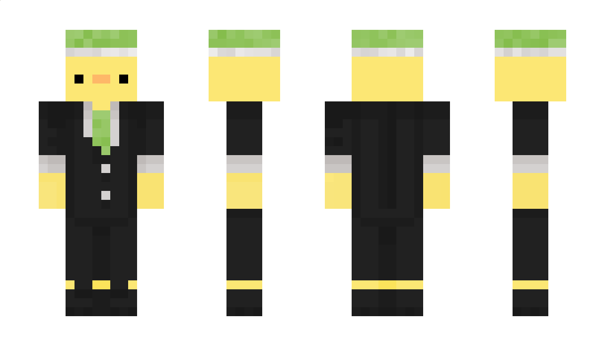 QuakkTheDuckling Minecraft Skin