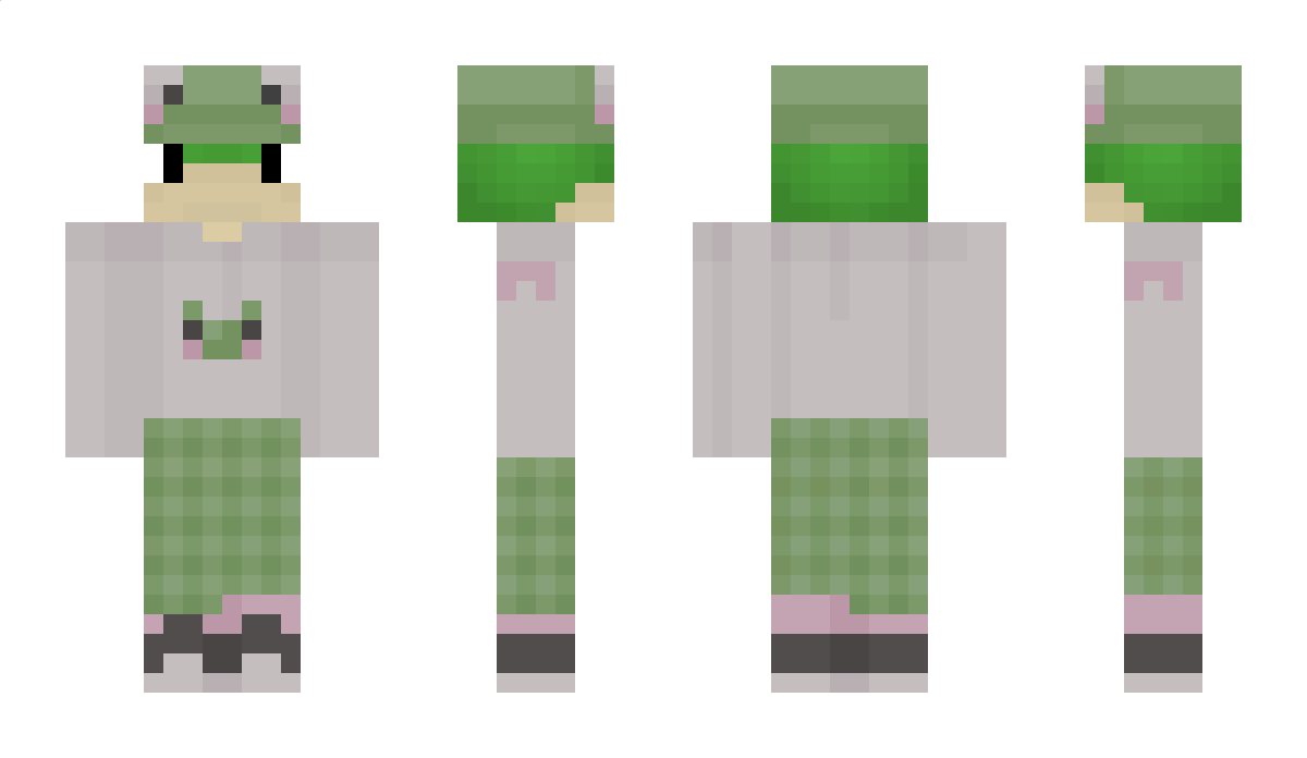 Sacimaa Minecraft Skin