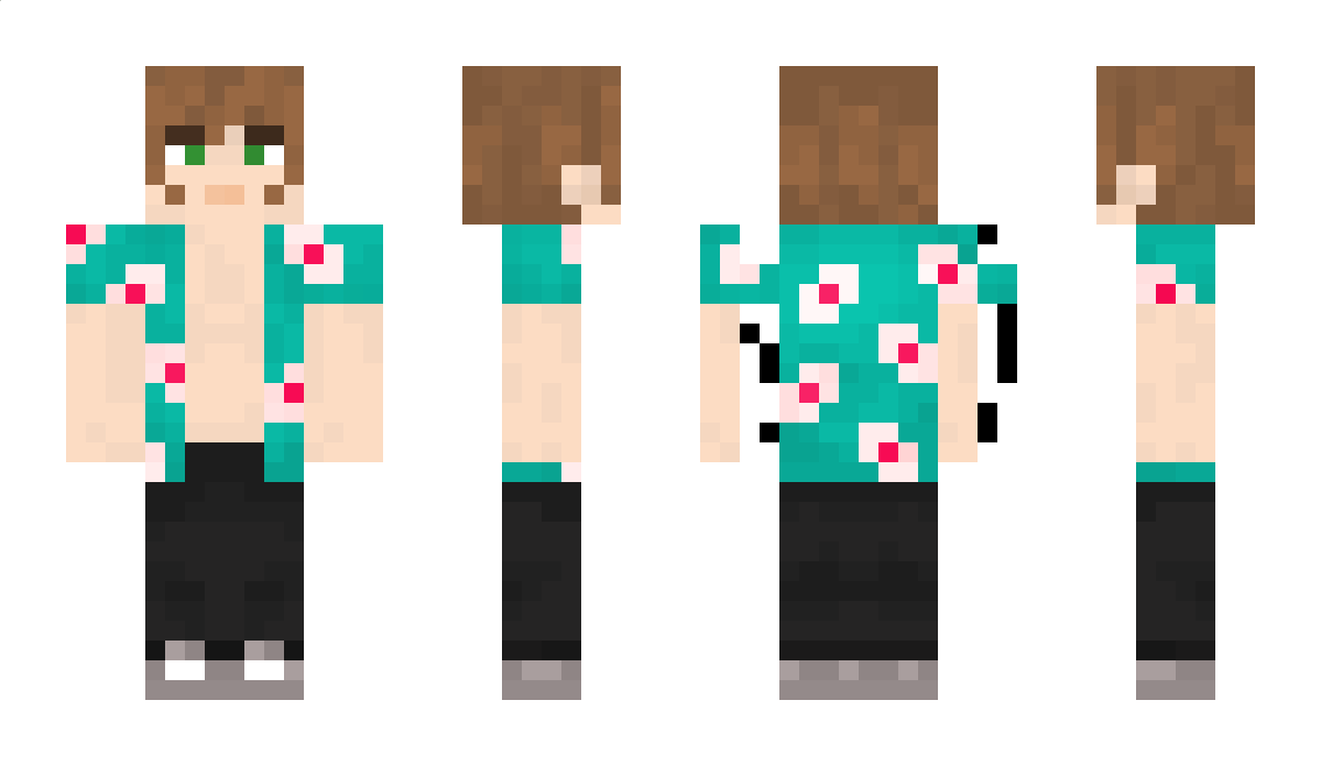 __Flas__ Minecraft Skin