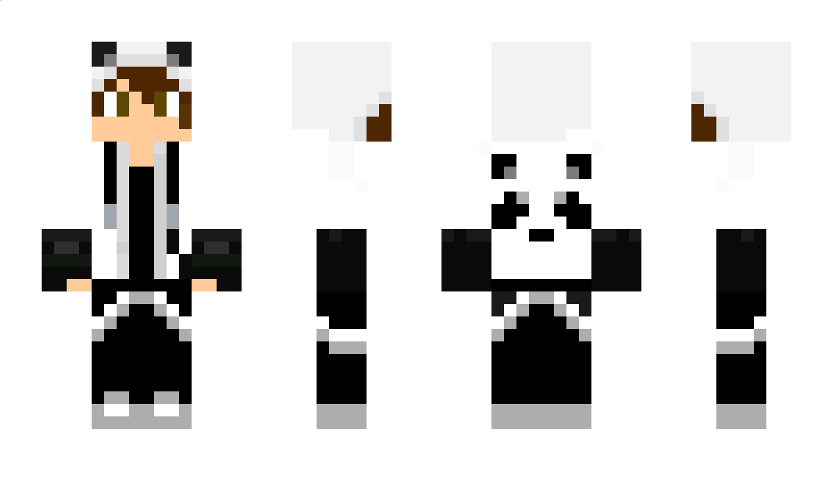 RSF Minecraft Skin