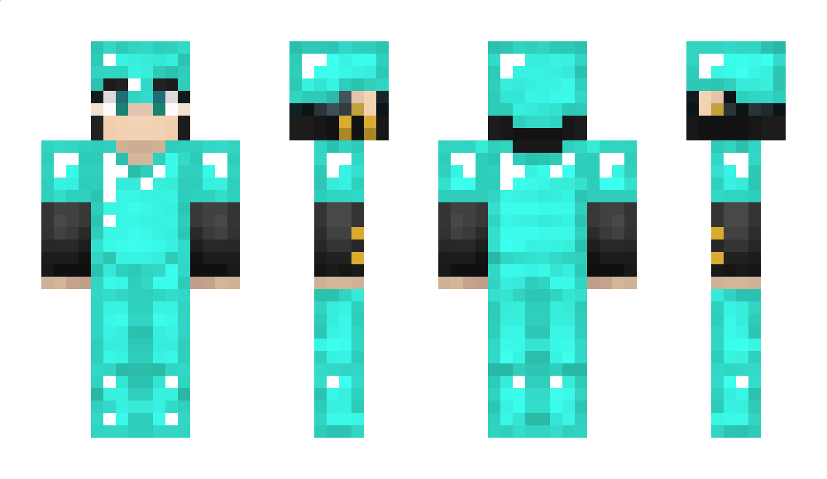 PhoenixRisingg Minecraft Skin