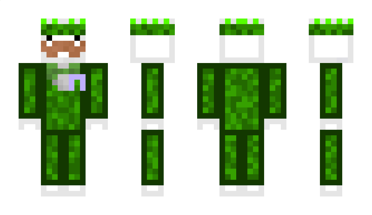 TheSinglePringl Minecraft Skin