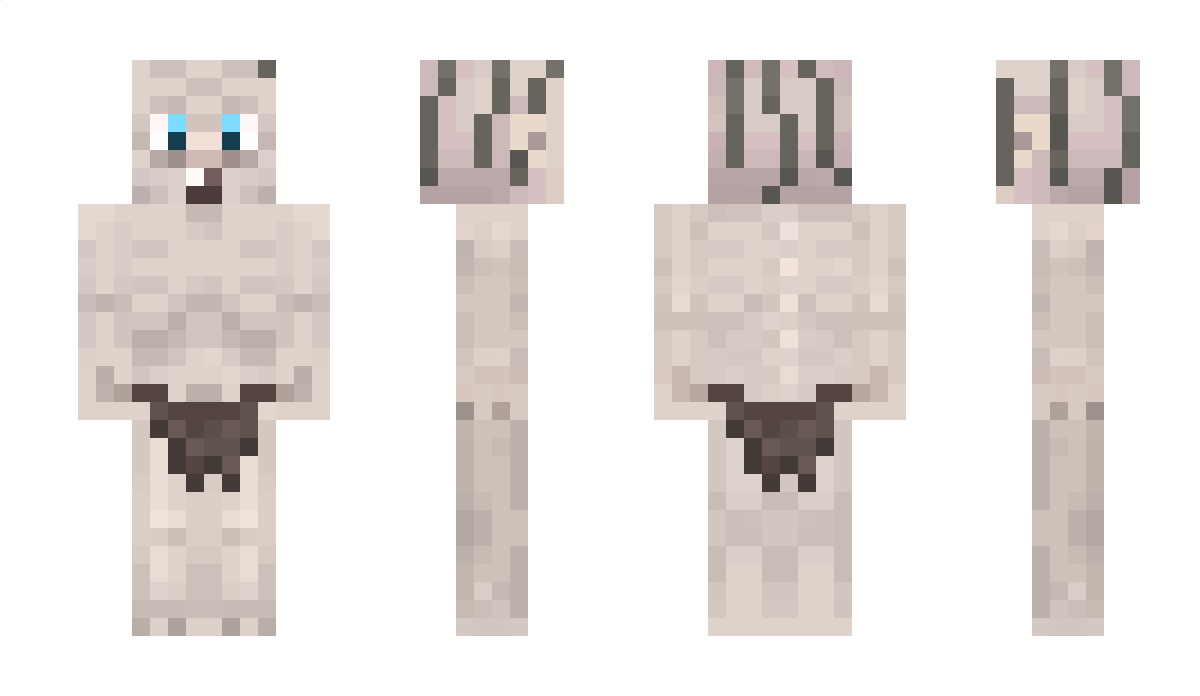 Sinjid Minecraft Skin