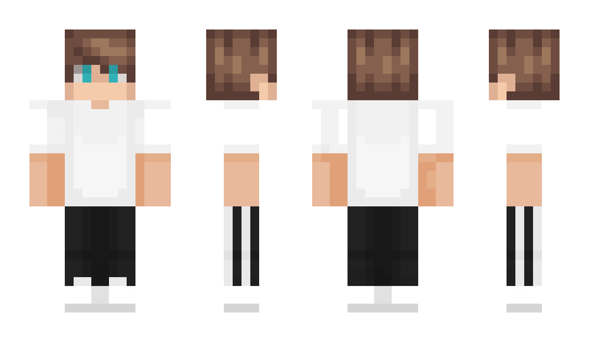 WhyZart Minecraft Skin