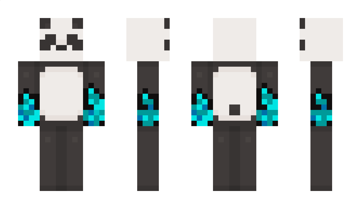 vastrains Minecraft Skin