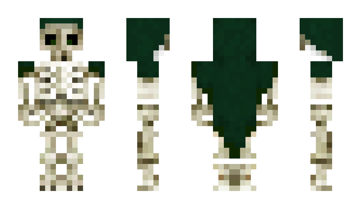 vanasten1 Minecraft Skin