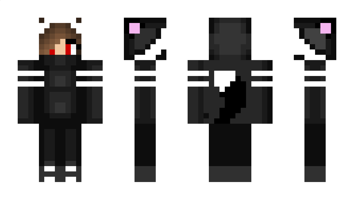 TheEnd Minecraft Skin