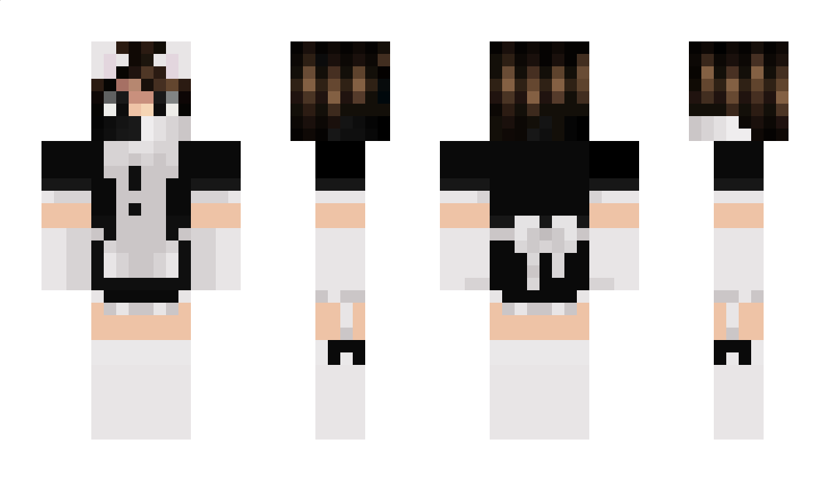 llasis09 Minecraft Skin