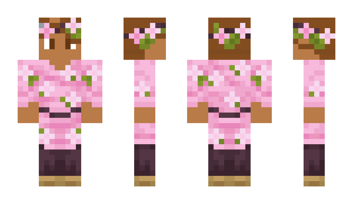 LeRober Minecraft Skin