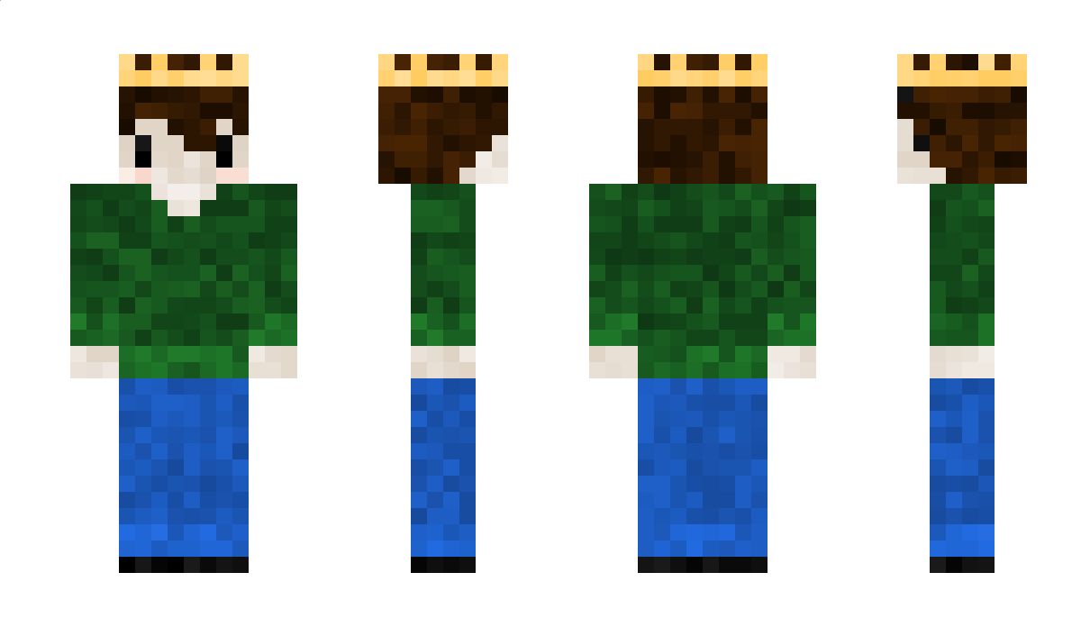 hoyspent Minecraft Skin