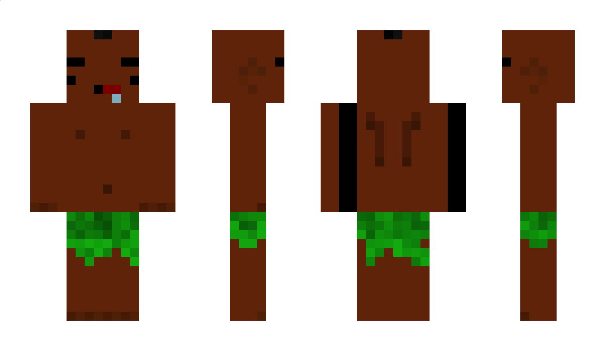 TimerRangeV2 Minecraft Skin