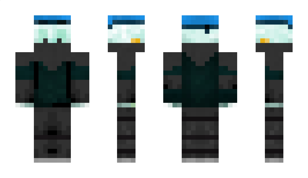 Duckgang Minecraft Skin