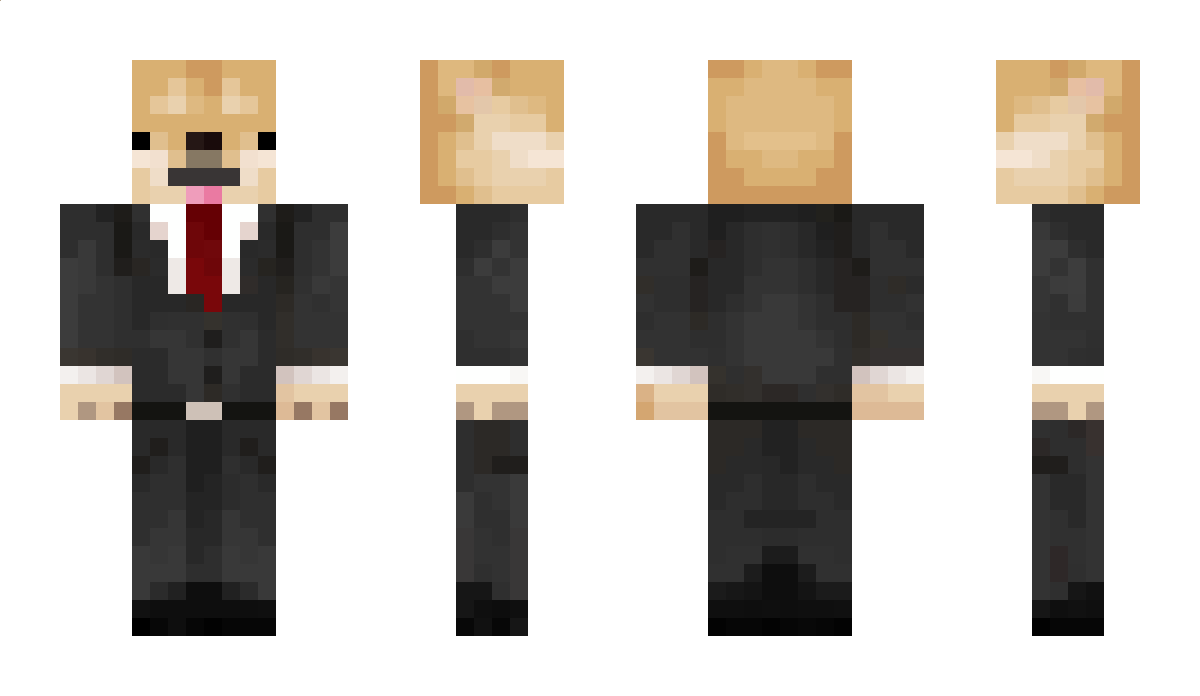 PockyGamez113 Minecraft Skin