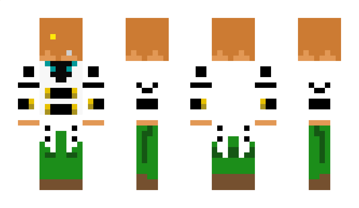 Ragecat Minecraft Skin