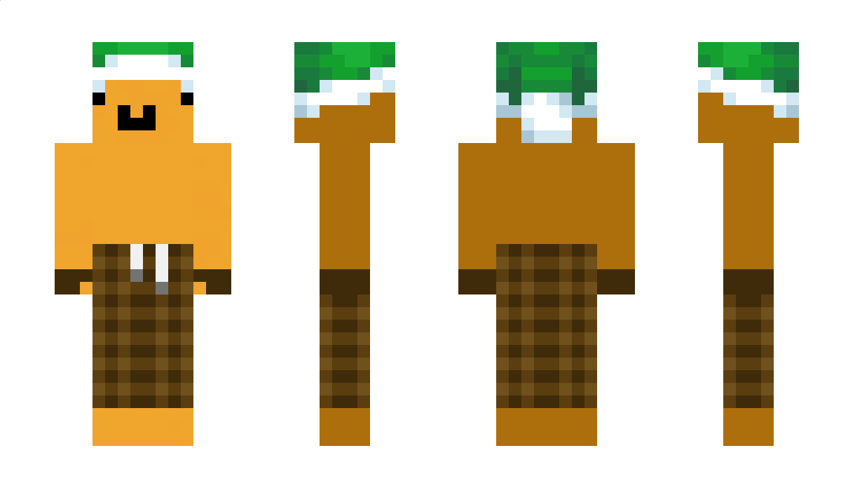 gerret1266 Minecraft Skin