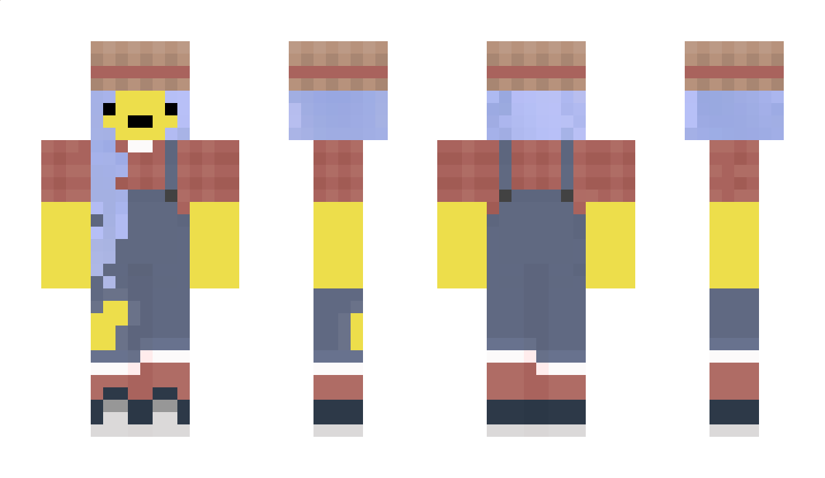 broad_band Minecraft Skin